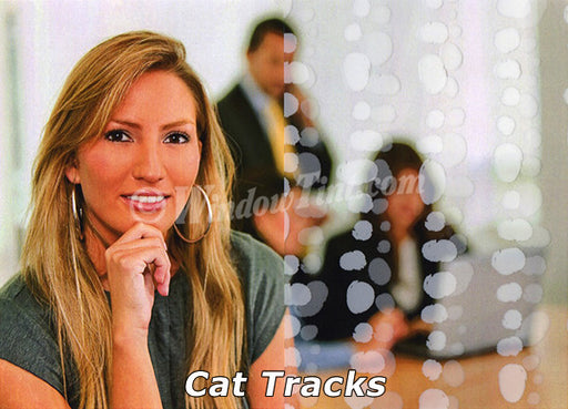 Cat Tracks